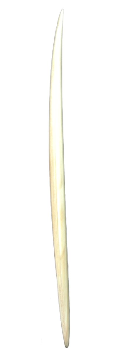 画像3: FIREWIRE THE CREEPER 5'8" – Rob Machado Model –