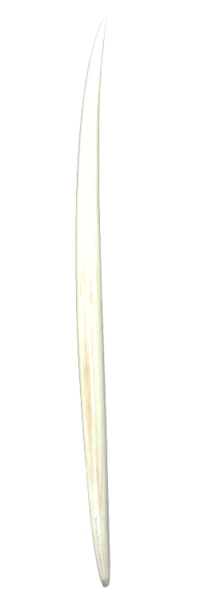 画像3: FIREWIRE ALMOND BUTTER 5'10" – Rob Machado Model –